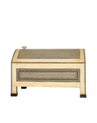 Casket of Ivory and Ebony