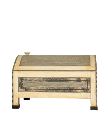 Casket of Ivory and Ebony