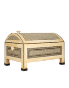 Casket of Ivory and Ebony