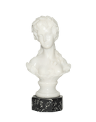 Bust of Venus-Aphrodite
