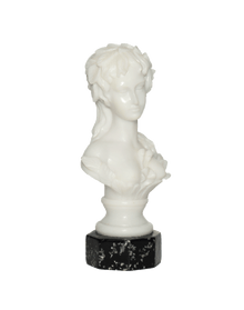 Bust of Venus-Aphrodite