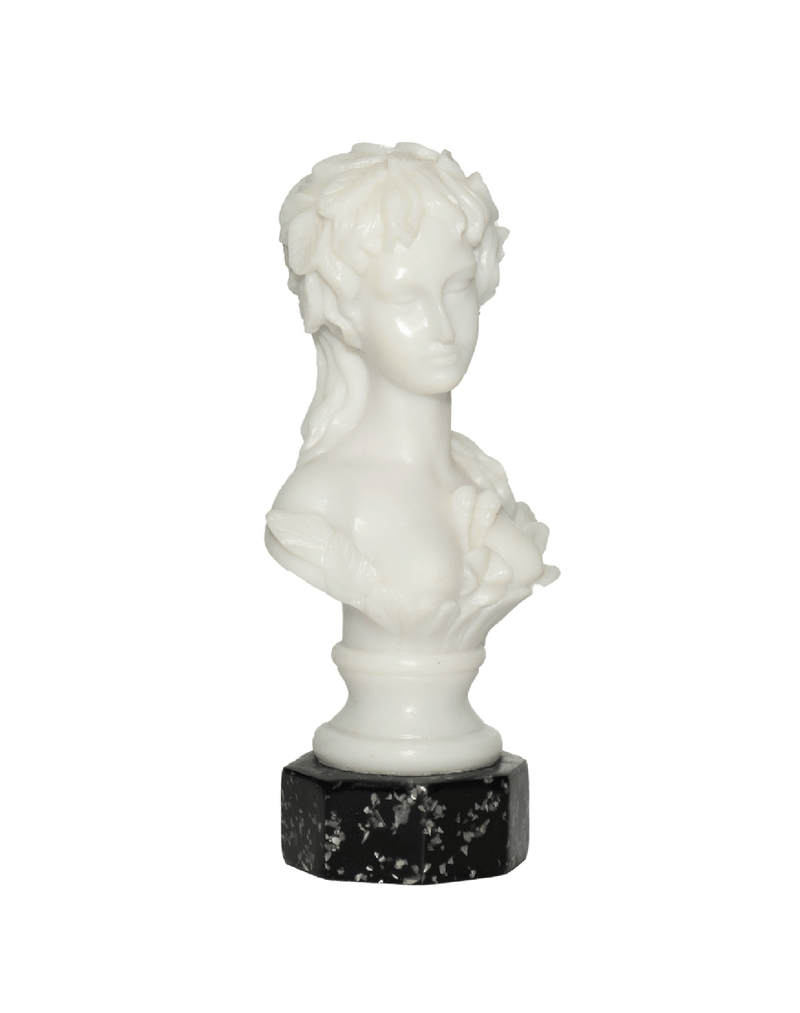 Bust of Venus-Aphrodite