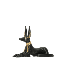 Anubis as a Jackal