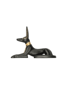Anubis as a Jackal