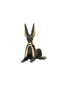 Anubis as a Jackal