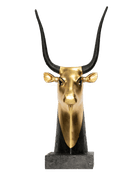 Cow Head