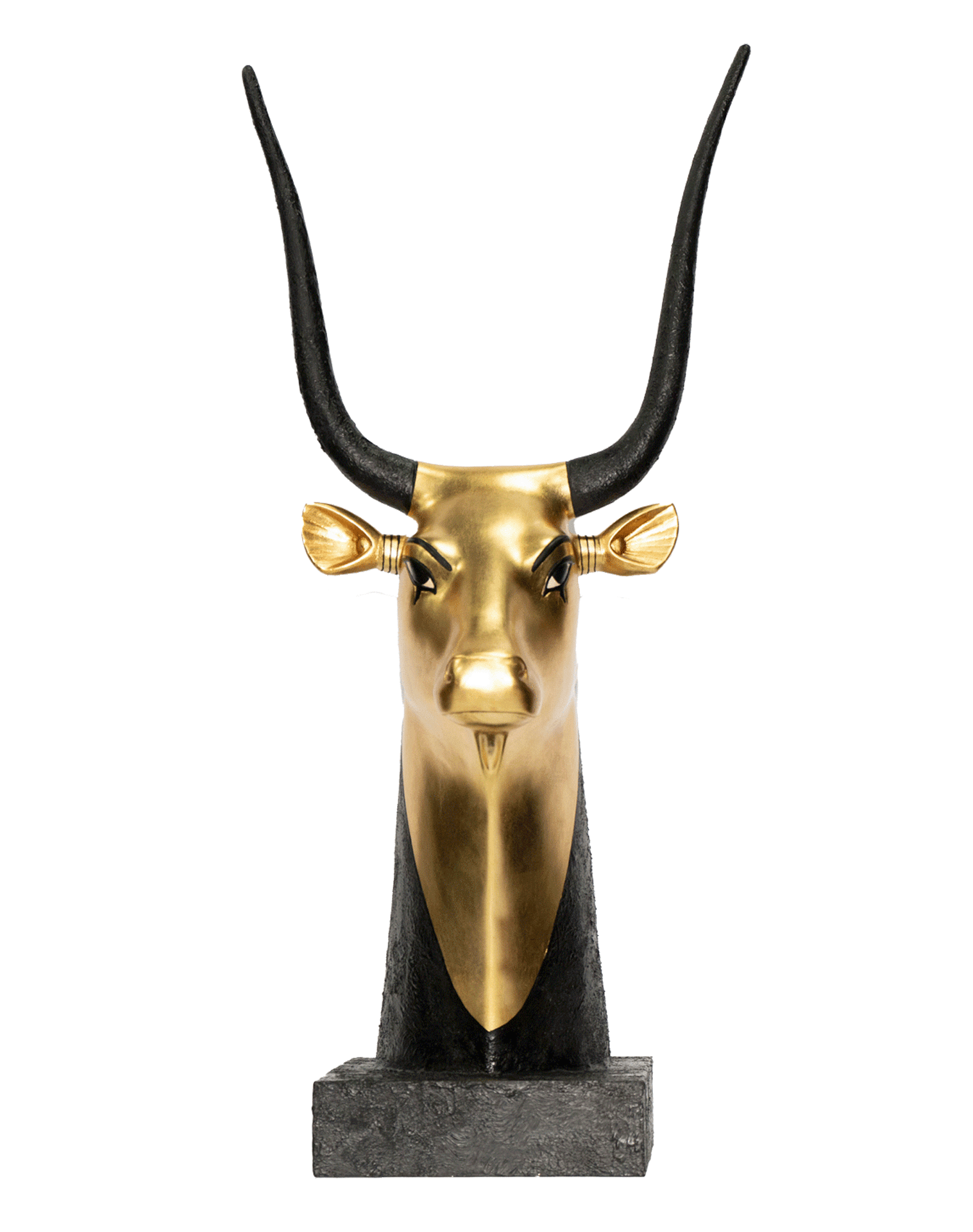 Cow Head