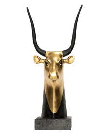 Cow Head