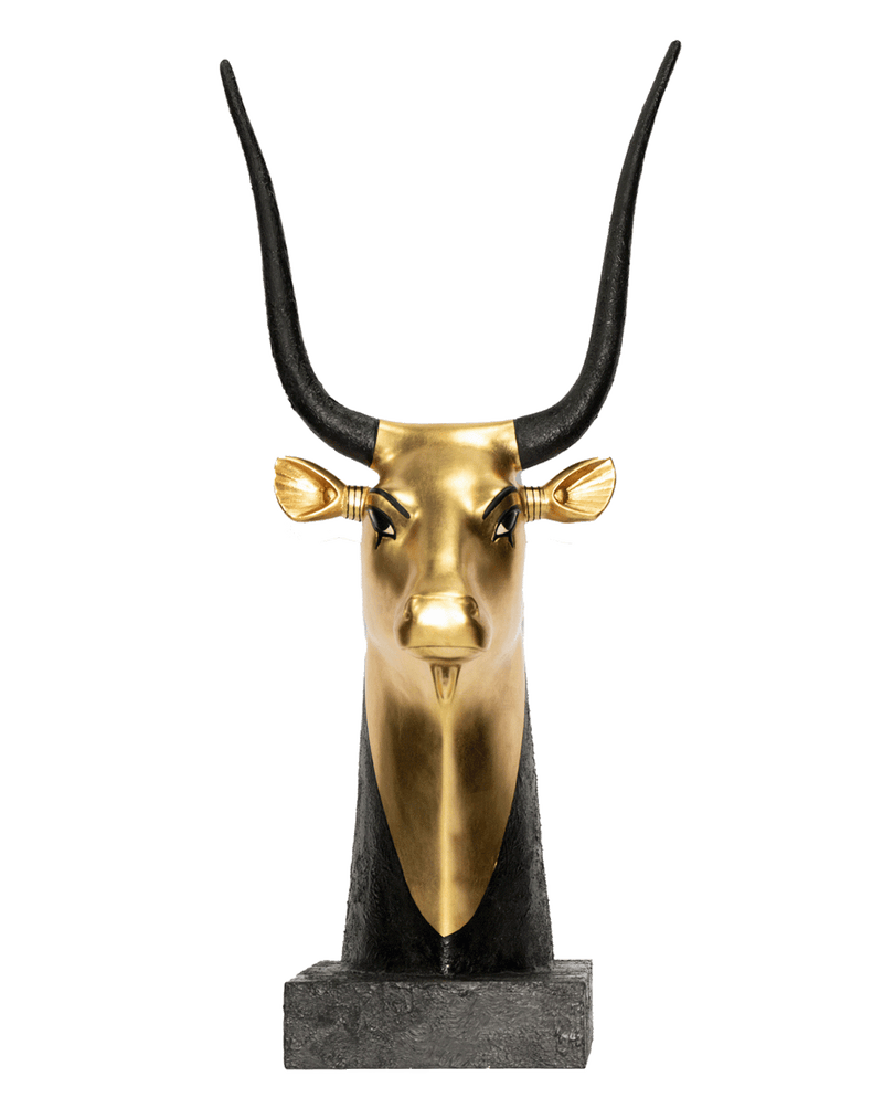 Cow Head