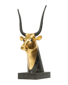 Cow Head