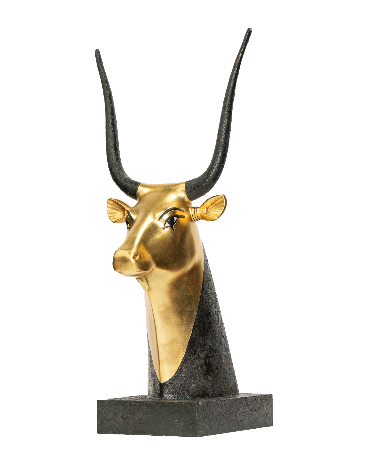 Cow Head