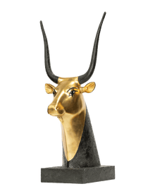 Cow Head