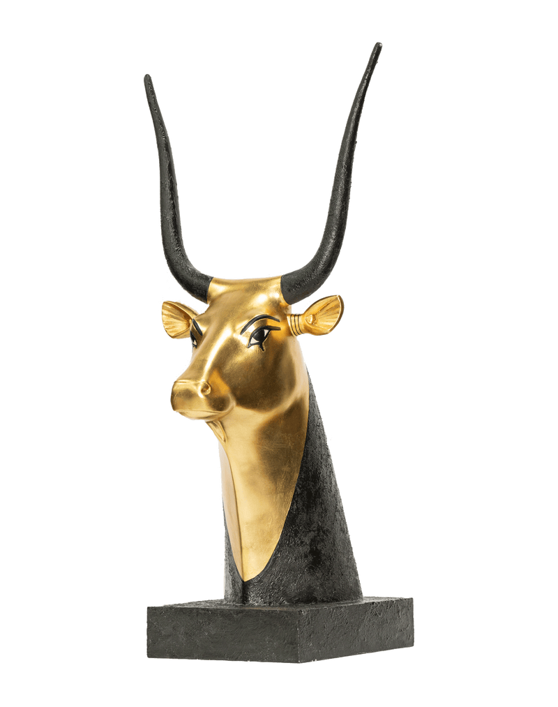 Cow Head