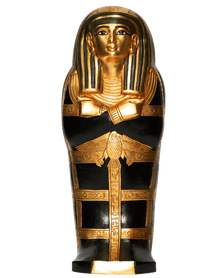 Black Gilded Fetus Coffins