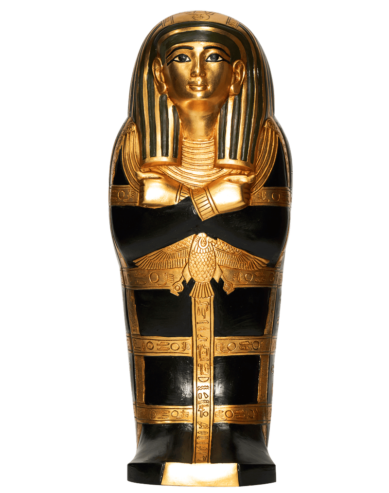 Black Gilded Fetus Coffins