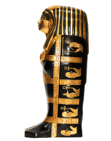 Black Gilded Fetus Coffins