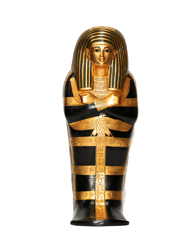 Black Gilded Fetus Coffins
