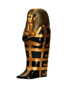 Black Gilded Fetus Coffins