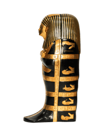 Black Gilded Fetus Coffins