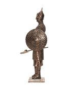 Mamluk in Armour