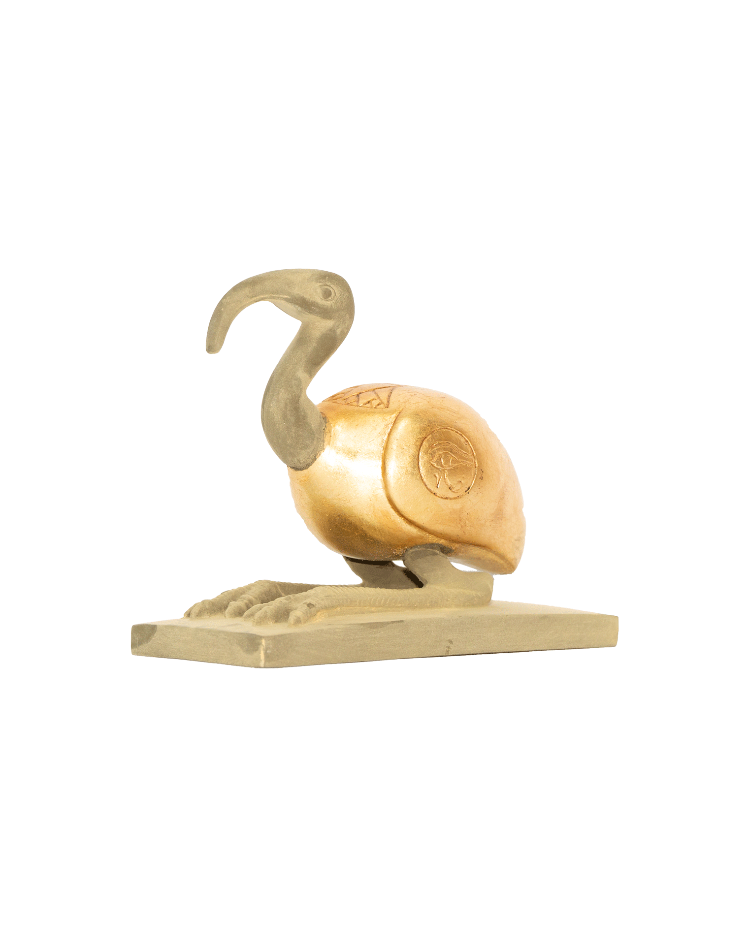 Ibis Bird