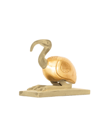Ibis Bird