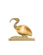 Ibis Bird