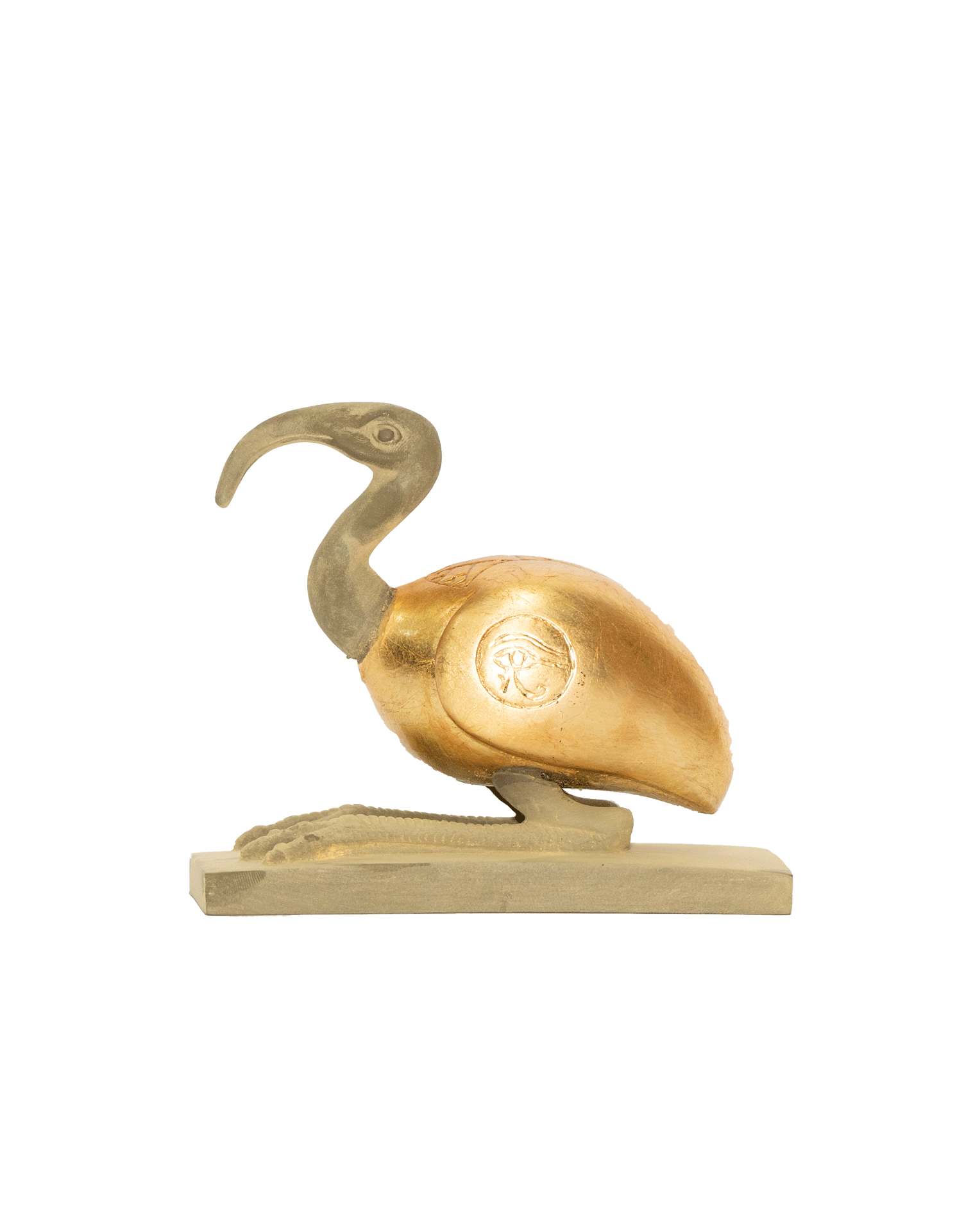 Ibis Bird