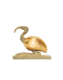 Ibis Bird