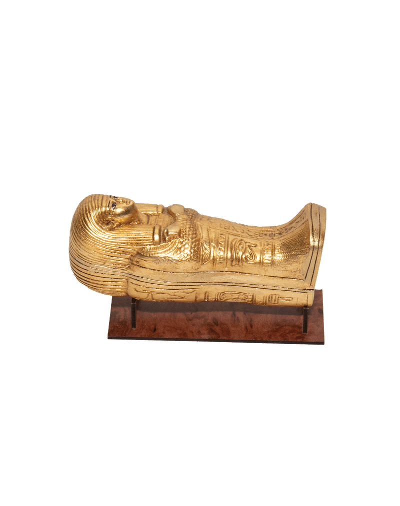 Mummy figure inside Coffin