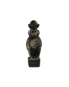 Baboon Wearing a Lunar Disk