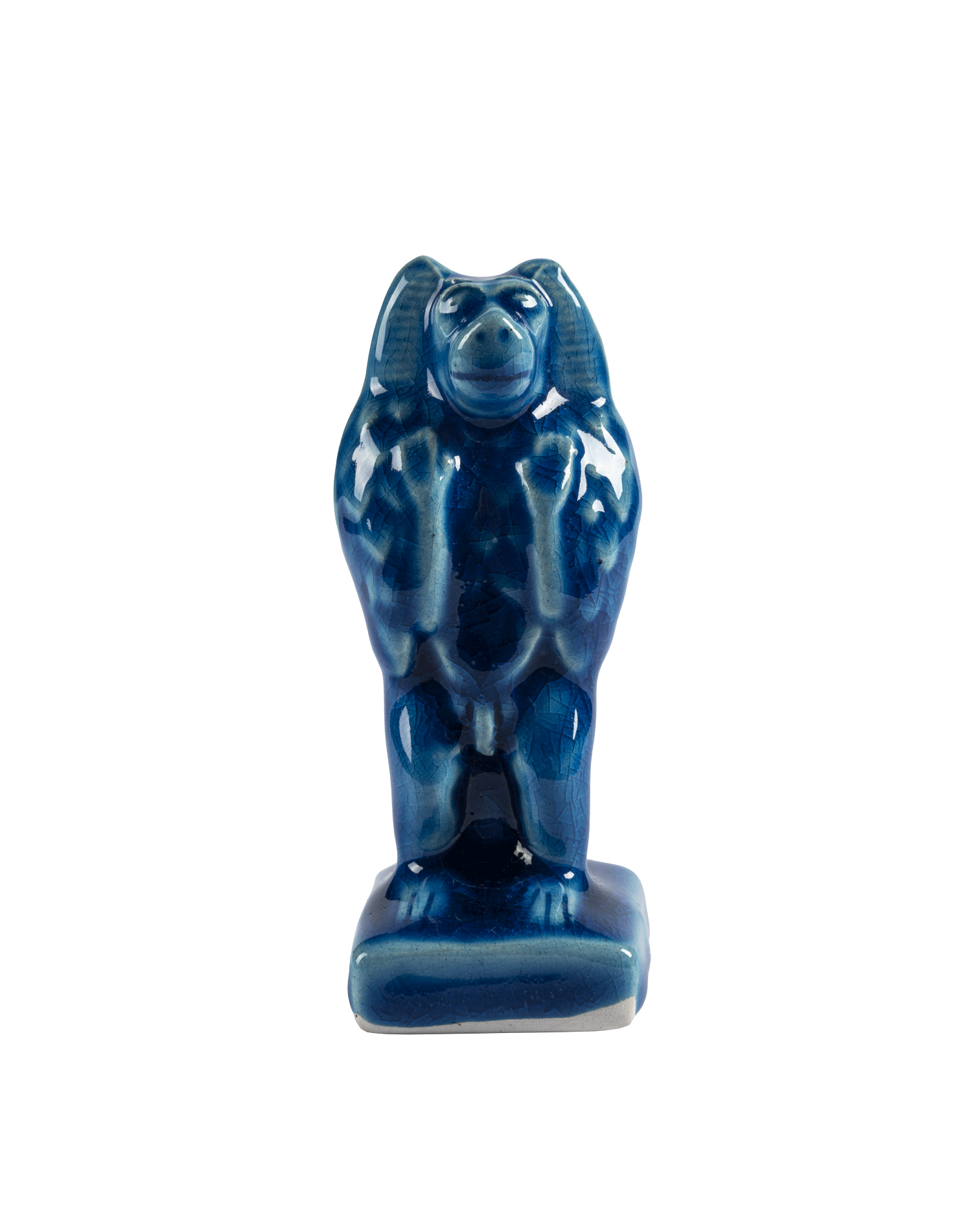 Baboon Adoring the Rising Sun