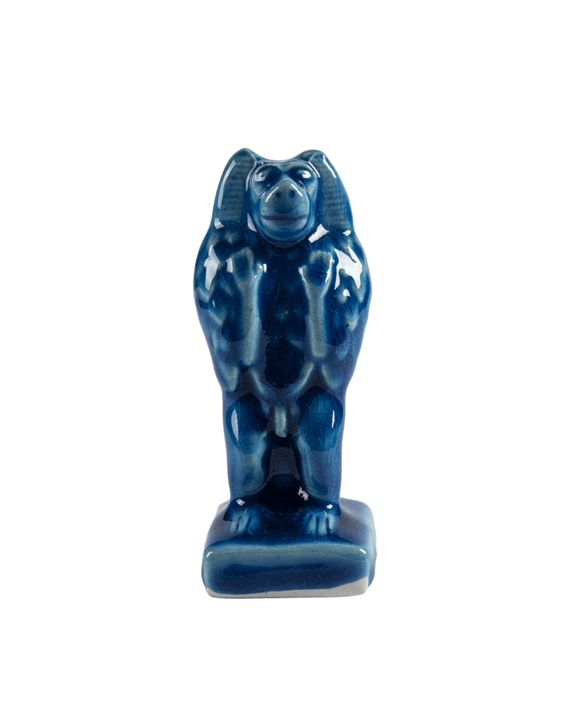 Baboon Adoring the Rising Sun