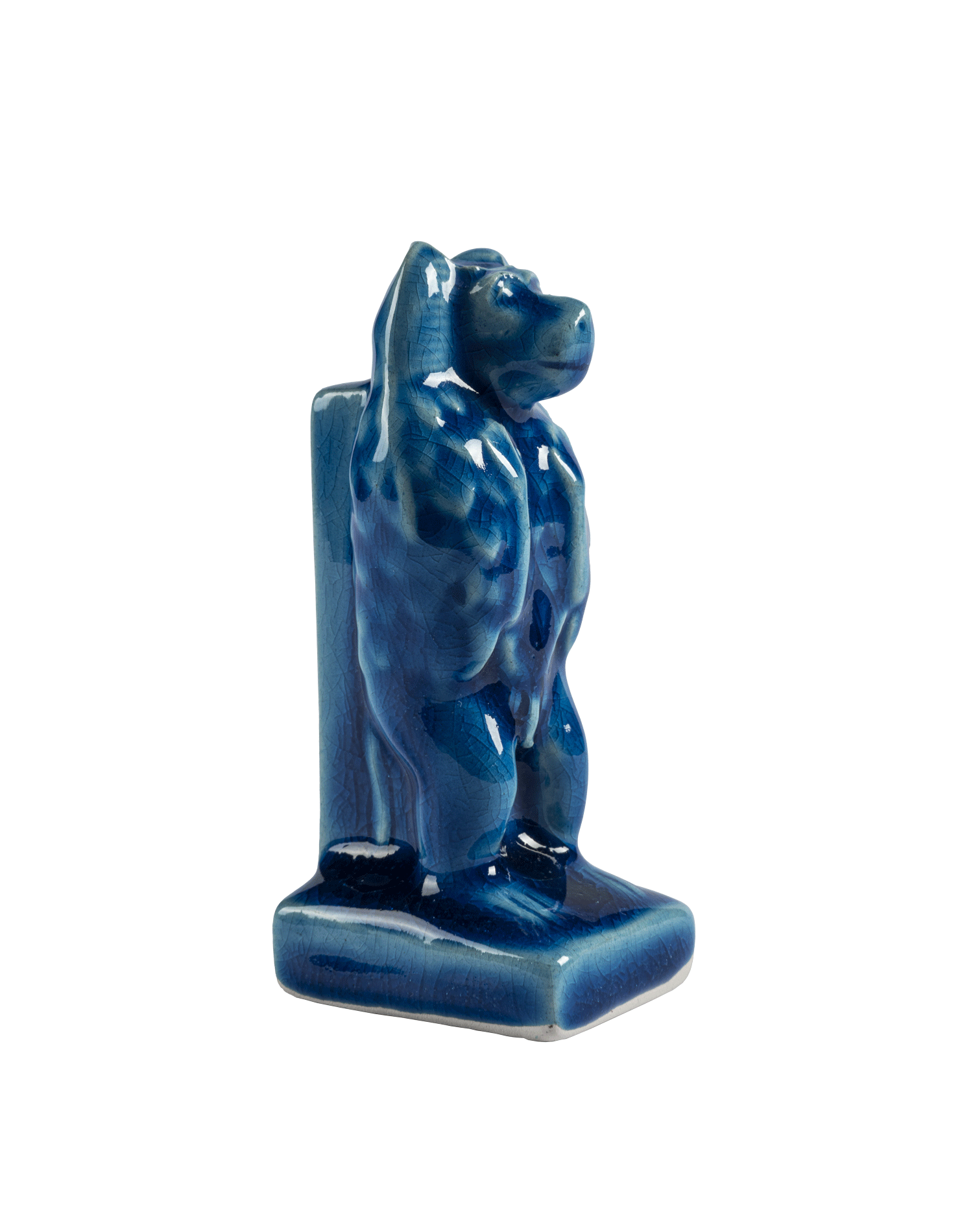 Baboon Adoring the Rising Sun