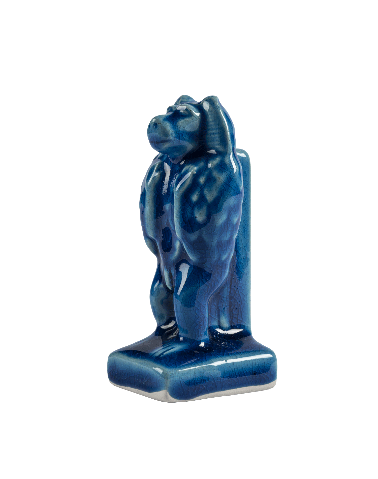 Baboon Adoring the Rising Sun