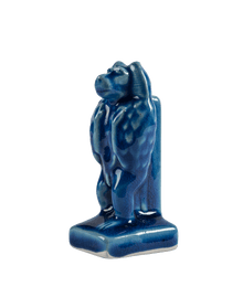 Baboon Adoring the Rising Sun