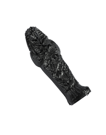 Royal Coffin with Mummy