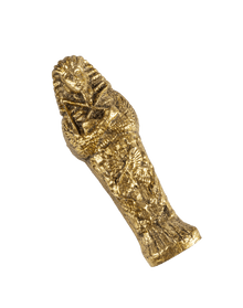 Royal Coffin with Mummy