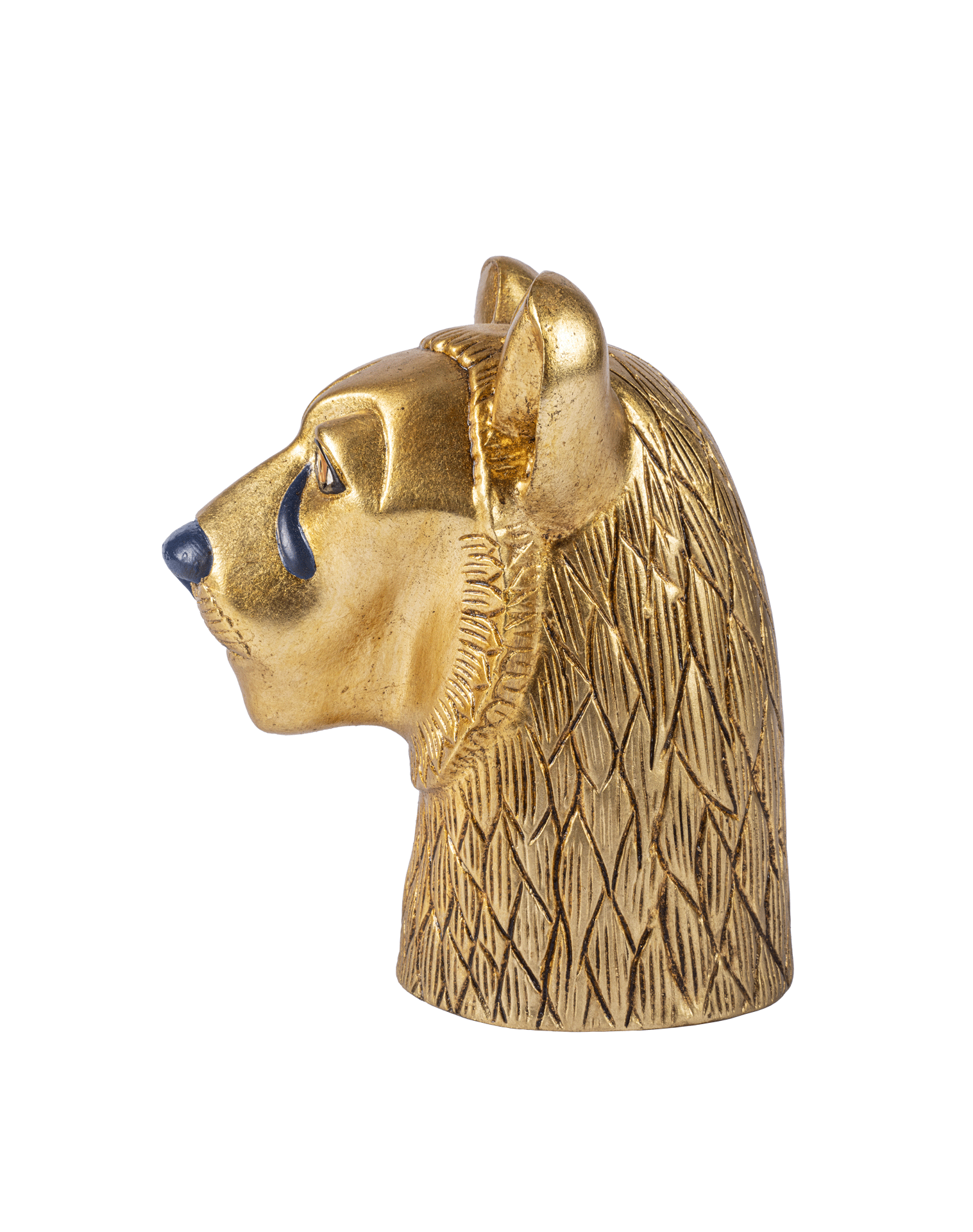 Lioness Head