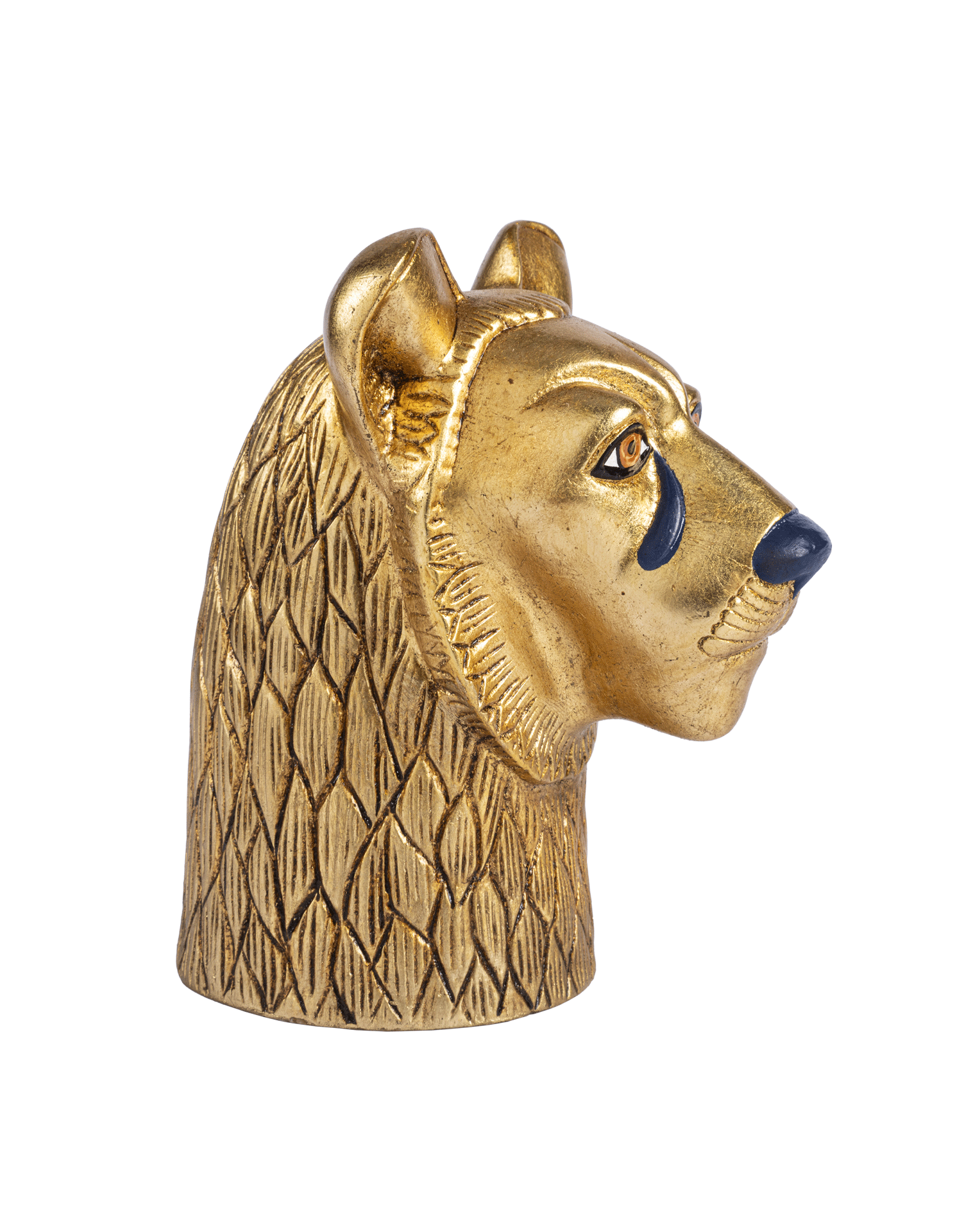 Lioness Head
