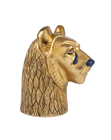 Lioness Head
