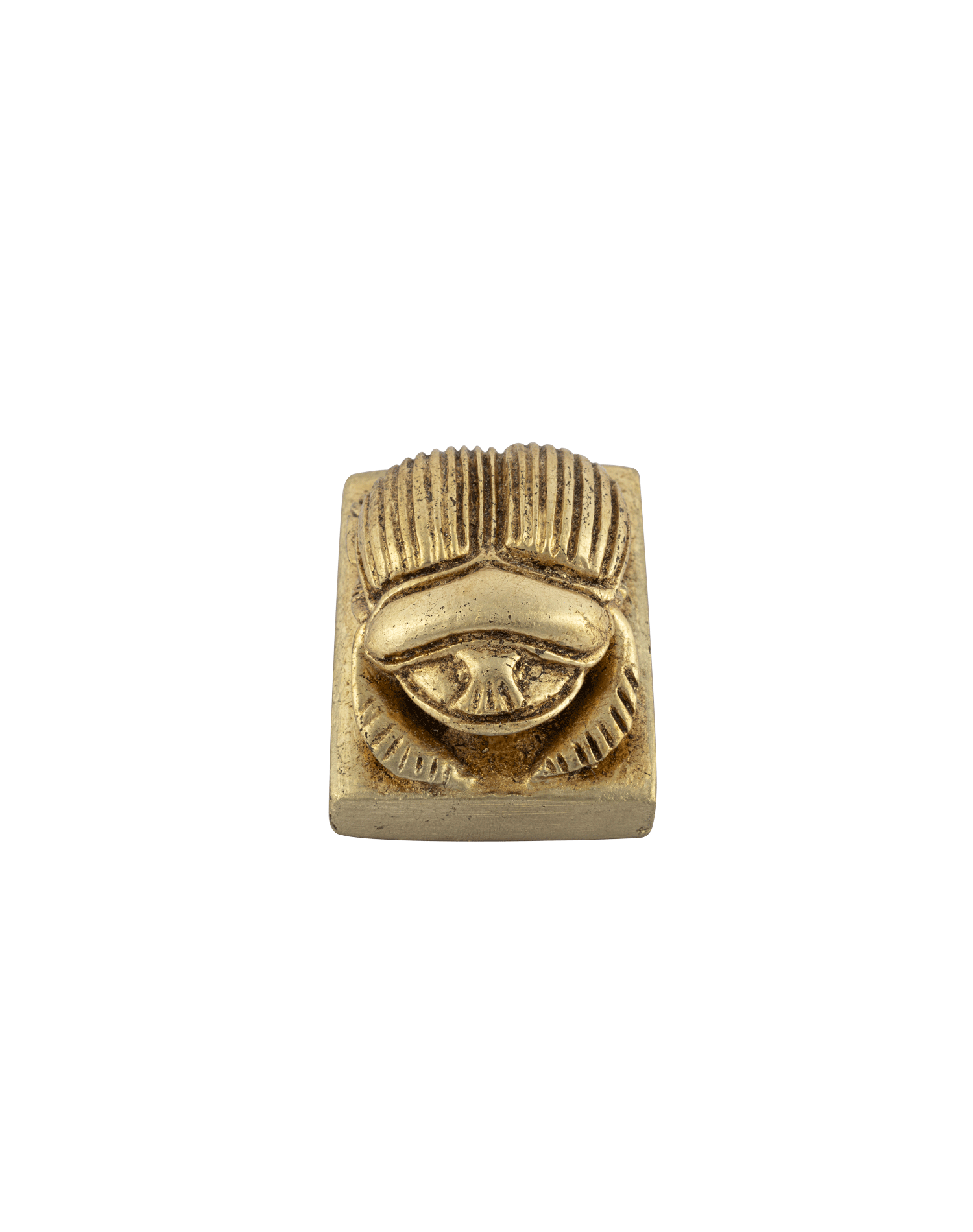 Scarab Polyester Models