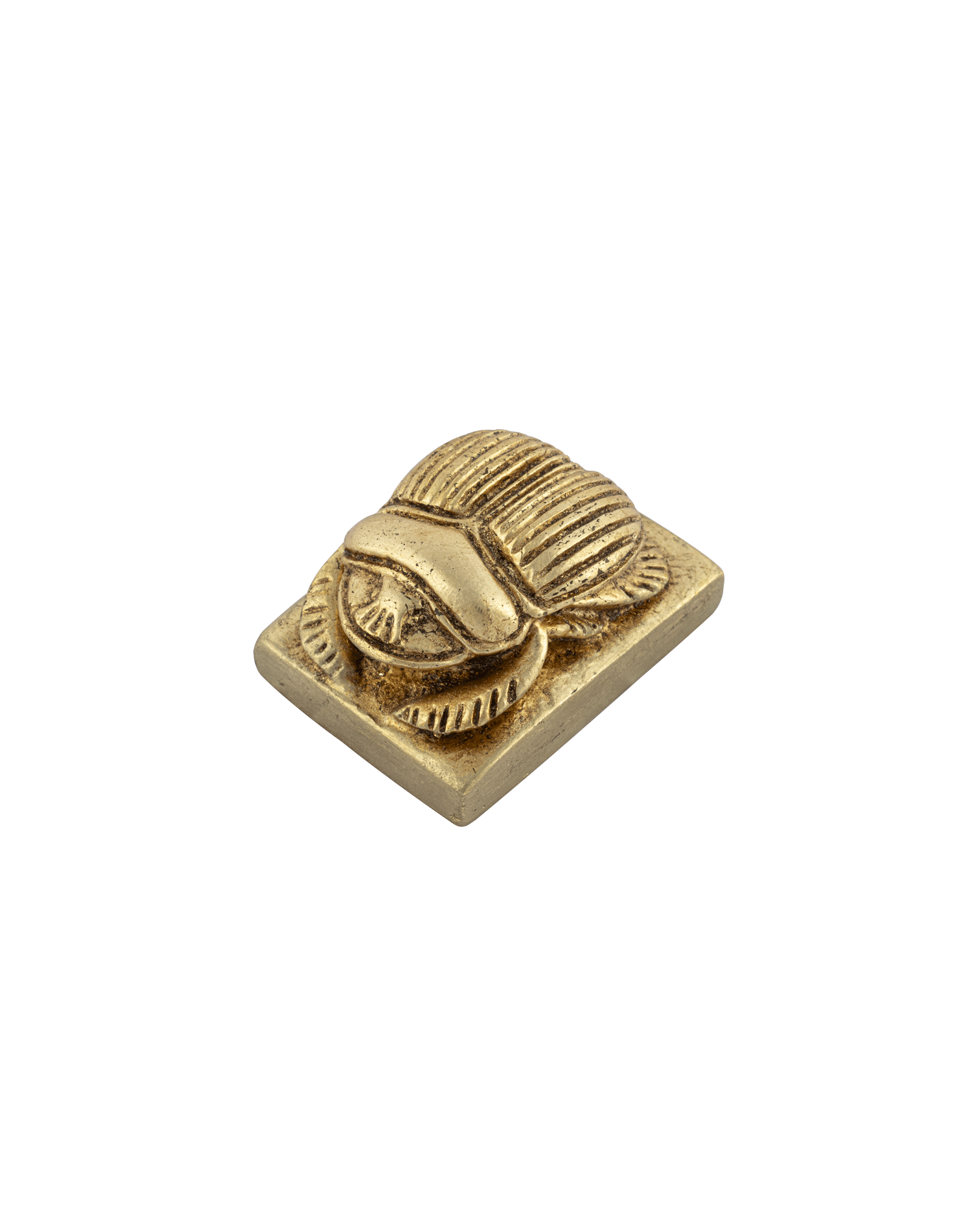 Scarab Polyester Models