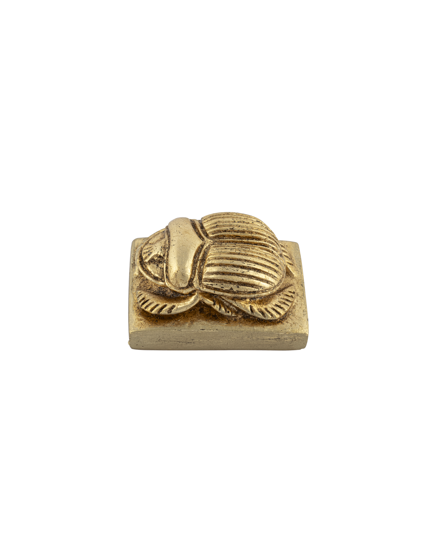 Scarab Polyester Models