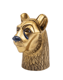 Lioness Head