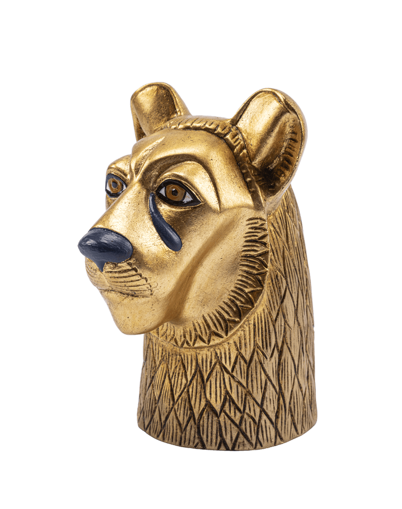 Lioness Head